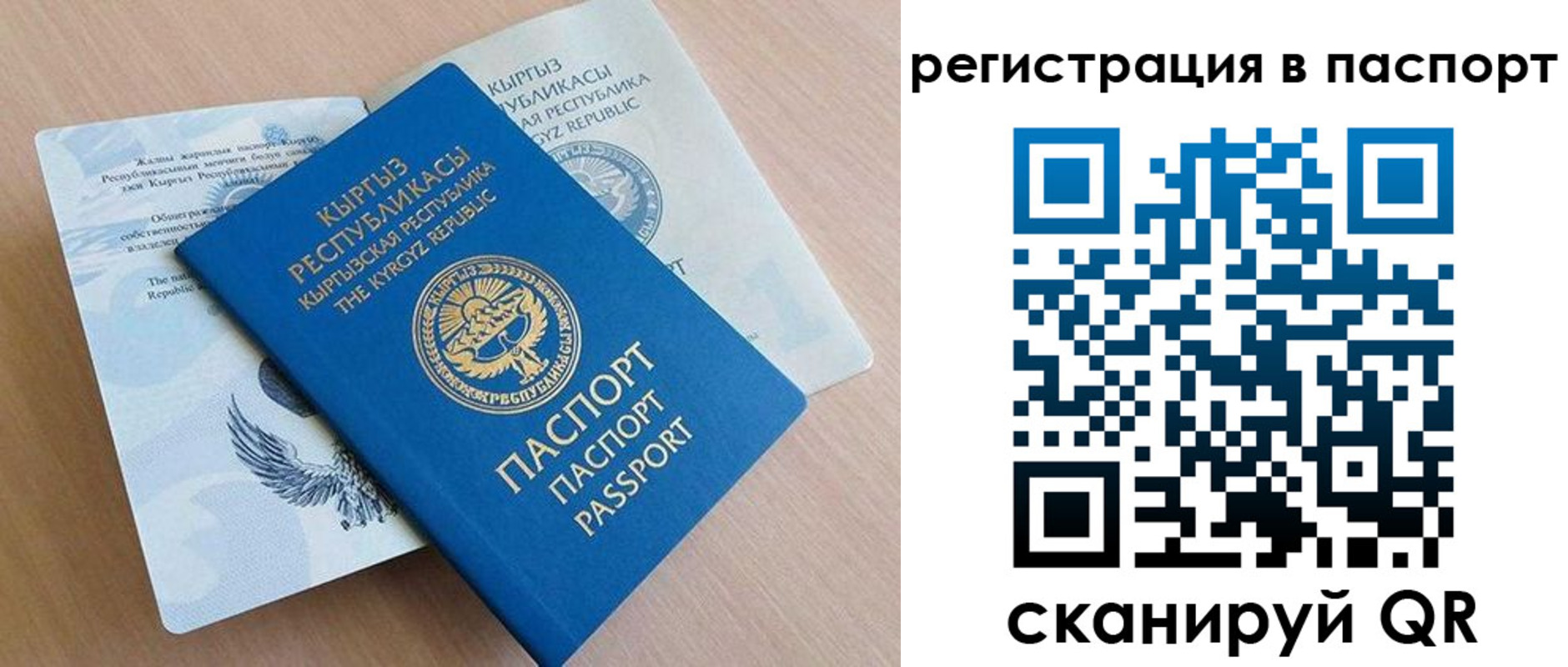 прописка законно в Невеле